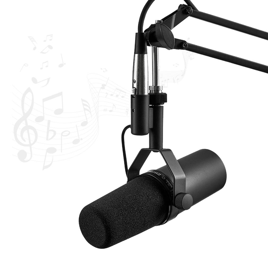Microfone profissional